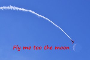 Fly me to the moon.jpg