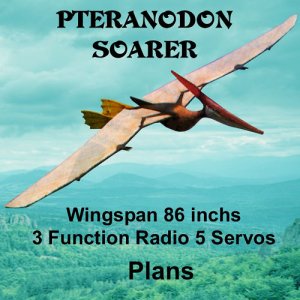 Pteranodon-Soarer.jpg