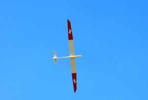 Condor in Air-4.JPG